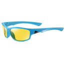 Men Sunglasses Outdoor Sports Polarized For Women Windproof Sand Goggle Male Sun Glasses UV400 Protection Bicycles Eyewear 3329 - KiwisLove