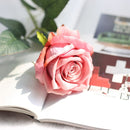 5Pcs 51cm Long Branch Flowers Bouquet Beautiful White Silk Roses Artificial Flowers Wedding Home Table Decor Arrange Fake Flower - KiwisLove