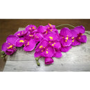 Artificial Silk White Orchid Flowers High Quality Butterfly Moth Phalaenopsis Fake Flower for Wedding Home Festival Decoration - KiwisLove