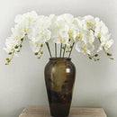 Artificial Silk White Orchid Flowers High Quality Butterfly Moth Phalaenopsis Fake Flower for Wedding Home Festival Decoration - KiwisLove