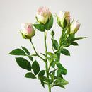 4 Heads Artificial Flowers Long Stem Wedding Decoration Silk Rose Fake Flowers Plastic Branches with Leaves Home Hotel Decor - KiwisLove
