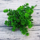 28 heads Succulents Artificial Plants Fall Fake Leaves Plastic Succulent Plants Lotus Grass for Garden Wedding Decoration A5029 - KiwisLove
