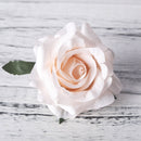 5pcs artificial roses white silk fake roses flower faux heads high quality DIY wedding home decoration scrapbook accessories - KiwisLove