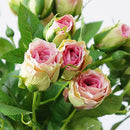 4 Heads Artificial Flowers Long Stem Wedding Decoration Silk Rose Fake Flowers Plastic Branches with Leaves Home Hotel Decor - KiwisLove
