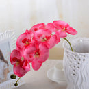 Artificial Silk White Orchid Flowers High Quality Butterfly Moth Phalaenopsis Fake Flower for Wedding Home Festival Decoration - KiwisLove
