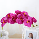 Artificial Silk White Orchid Flowers High Quality Butterfly Moth Phalaenopsis Fake Flower for Wedding Home Festival Decoration - KiwisLove
