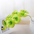 Artificial Silk White Orchid Flowers High Quality Butterfly Moth Phalaenopsis Fake Flower for Wedding Home Festival Decoration - KiwisLove