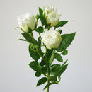 4 Heads Artificial Flowers Long Stem Wedding Decoration Silk Rose Fake Flowers Plastic Branches with Leaves Home Hotel Decor - KiwisLove
