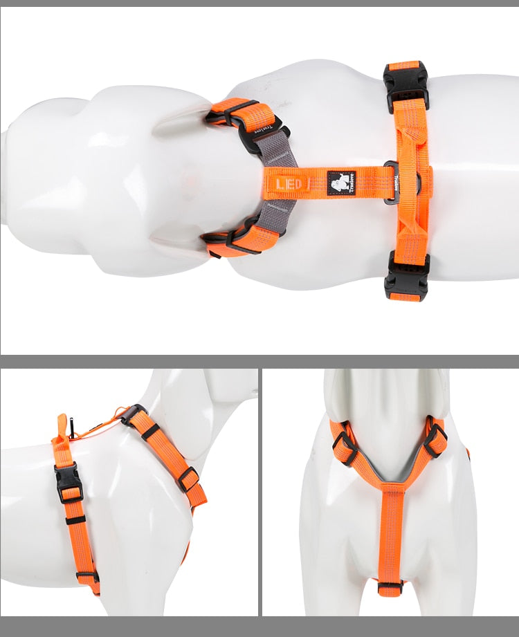 Truelove Pet Harness Adjustable Reflective Nylon with Collar Leash LED Light TLH6171 - KiwisLove