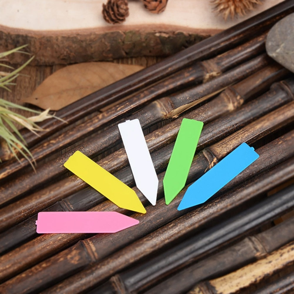 100Pcs Garden Plant Labels Plastic Plant Tags Nursery Markers - KiwisLove