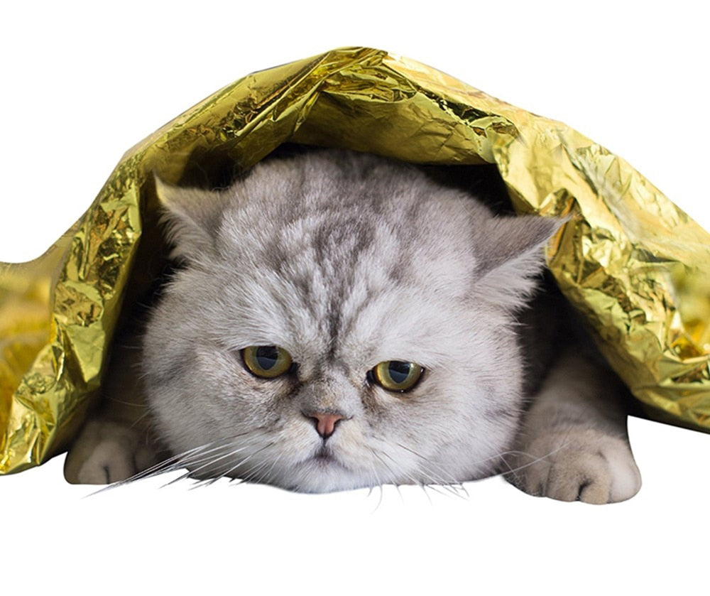 Outdoor Water Proof Emergency Survival Rescue Blanket Foil Thermal Space First Aid Sliver Rescue Curtain Military Blanket Tool - KiwisLove