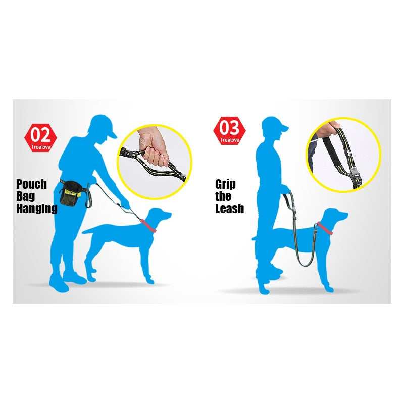 Truelove Pet Leash Hands Free Adjustable Nylon Dog With Carabiner TLL2671 - KiwisLove