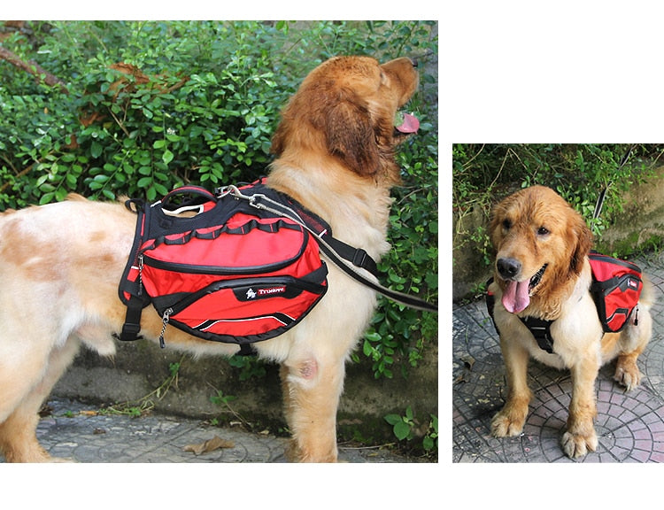 Truelove Backpack Carrier Dog Harness and Bag Space Waterproof Outdoor TLB2051 - KiwisLove