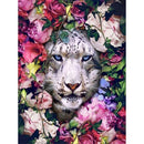DIY Acrylic Painting By Numbers Kits 40x50cm ready frame  Modern Wall Home Decor - KiwisLove