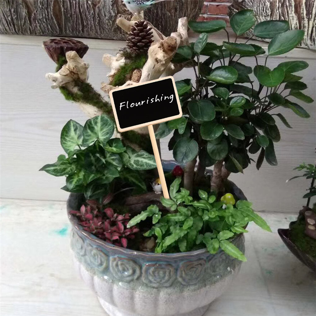 20pcs Wooden Chalkboard Blackboard Plant Label - KiwisLove