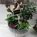 20pcs Wooden Chalkboard Blackboard  Plant Label - KiwisLove