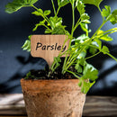 Bamboo Plant Labels Eco-Friendly - KiwisLove