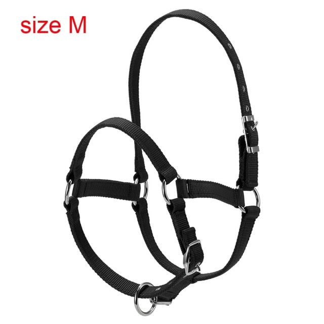 Durable Horse Head Collar Halter 6MM Thickened Horse Riding Bridle Horse Riding Equipment Halter Horse Accessories - KiwisLove