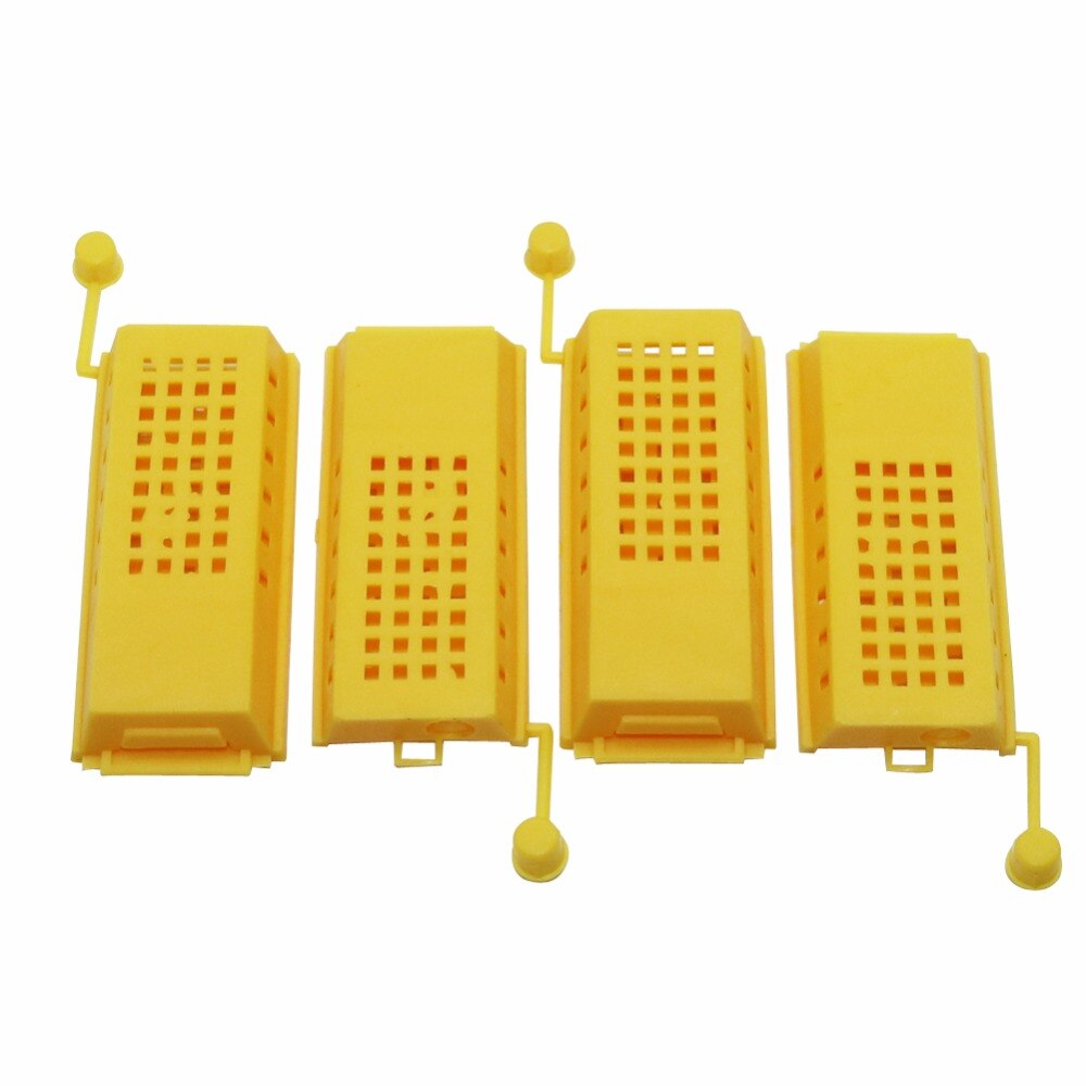 20pcs Beekeeping King Cage Prisoners Bedroom European style hive - KiwisLove