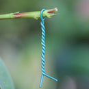 100PCS Round  Plastic Twist Tie with Iron Core Bendable Plant Training Wire - KiwisLove