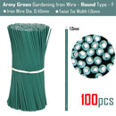 100PCS Round  Plastic Twist Tie with Iron Core Bendable Plant Training Wire - KiwisLove