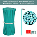 100PCS Round  Plastic Twist Tie with Iron Core Bendable Plant Training Wire - KiwisLove
