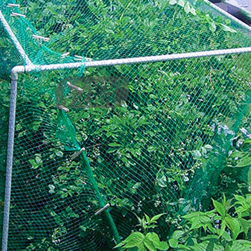 Green Anti Bird Protection Net Mesh Garden Plant Netting Protect Seedlings - KiwisLove