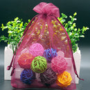 Garden Vegetables Fruit Grow Plants Protection Bags Anti-Bird Gift Bag - KiwisLove
