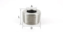 Stainless Steel 304 Hexagon Pipe Countersunk End Plug Fitting Water Gas Oil - KiwisLove