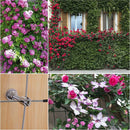 Climbing Plants Vines Green Wall  Trellis Kit hub Brackets 10 Holders NZ Stock - KiwisLove