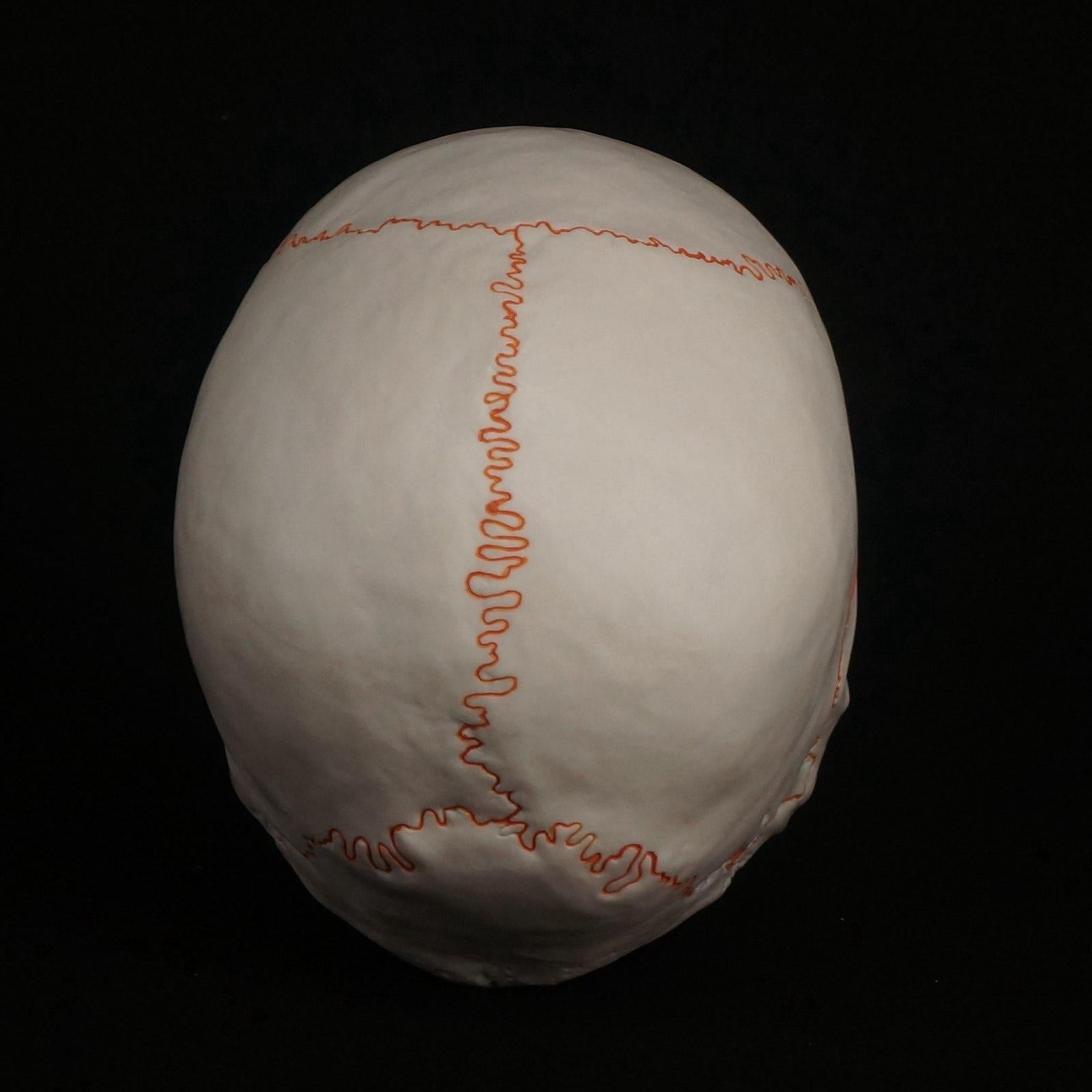 Life Size Human Head Skull Model Skeleton Medicine Anatomy - KiwisLove