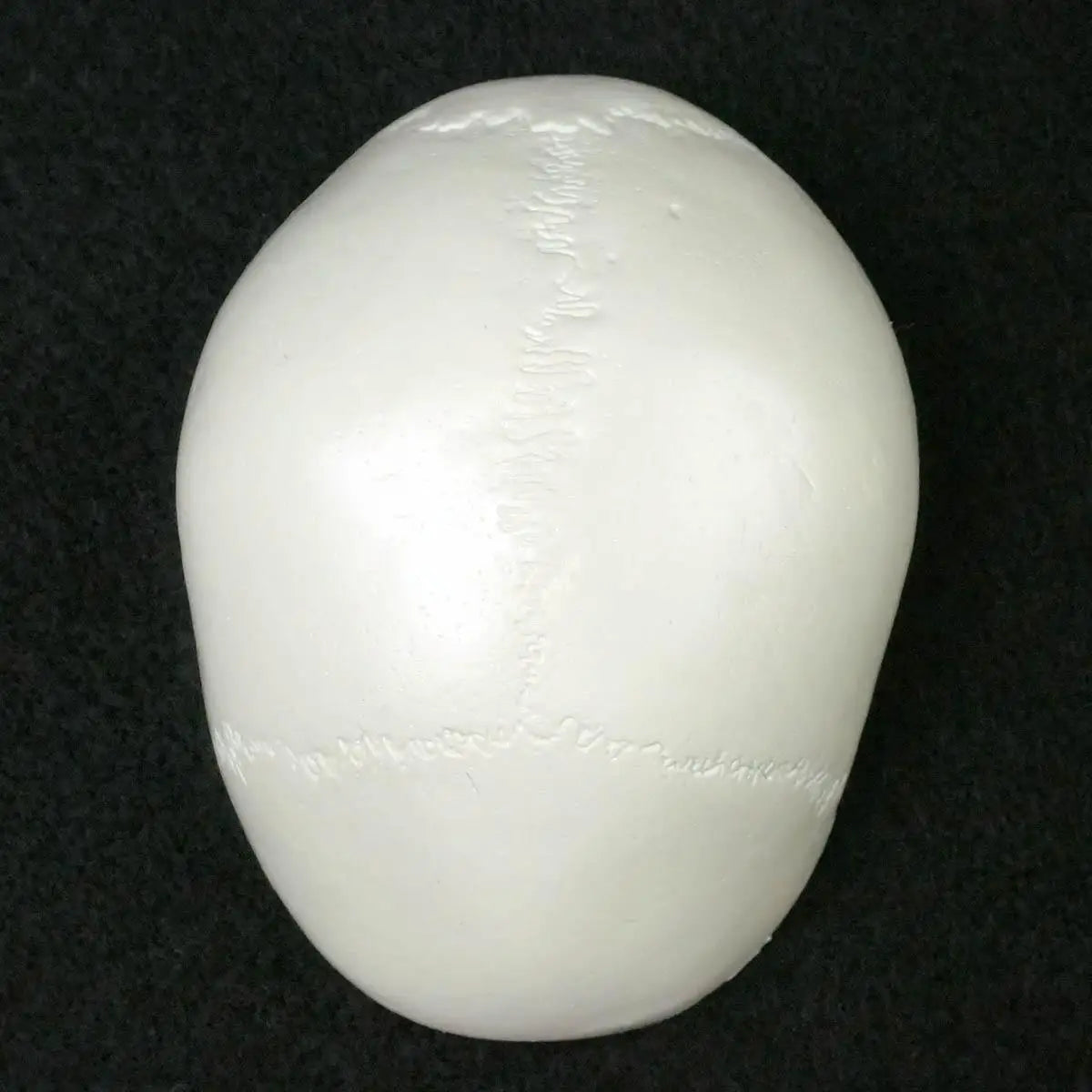 PVC Mini Skull Human Anatomical Anatomy Head Medical Model Convenient 92x99x71mm - KiwisLove