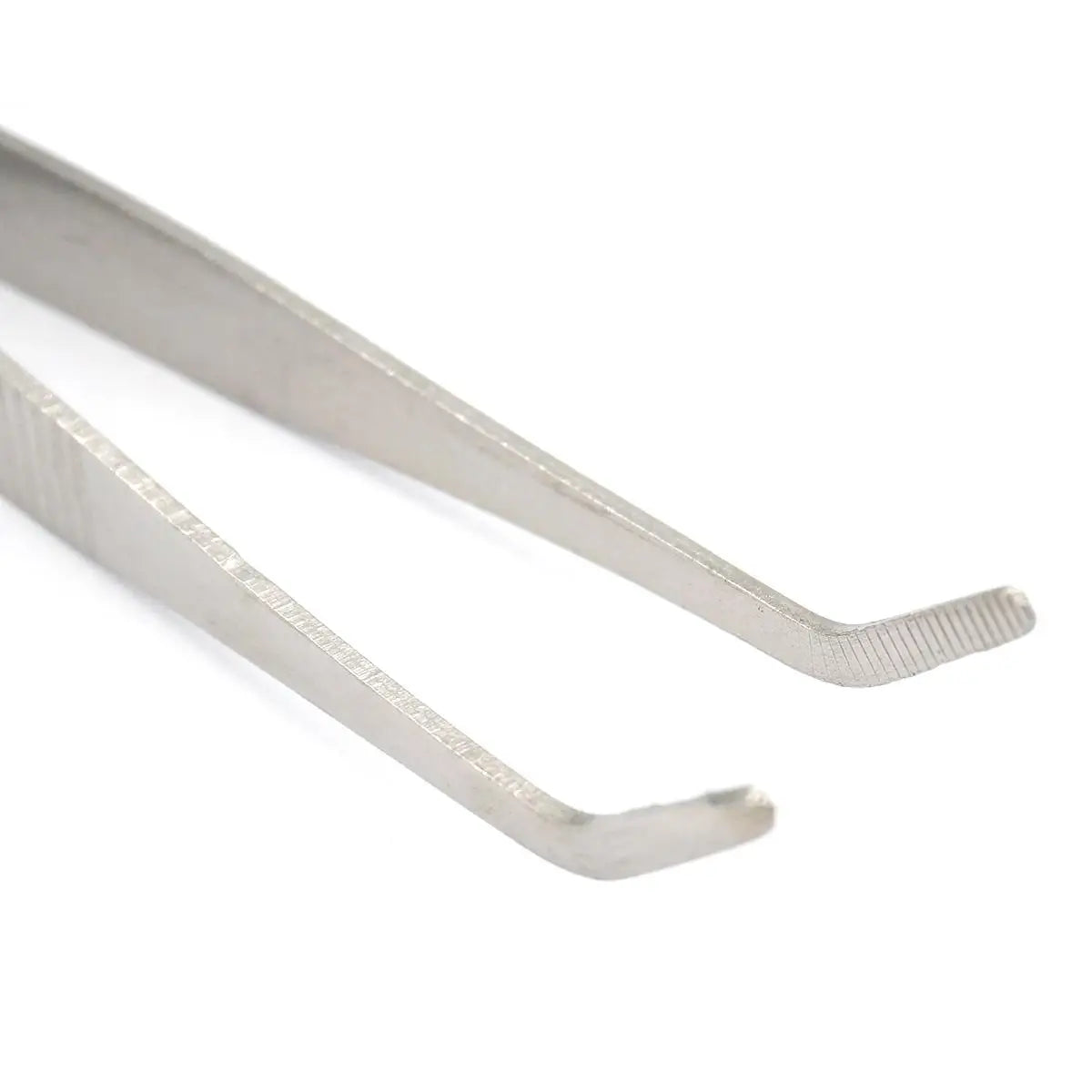 16cm Stainless Steel Tweezer Curved Round Tip Chemistry Medical Tool  Lab Use - KiwisLove
