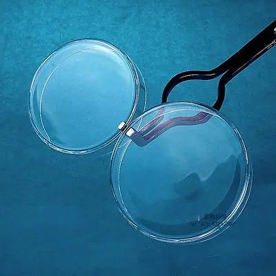 75mm Borosilicate glass Petri culture dish For Chemistry Laboratory Bacterial Yeast - KiwisLove