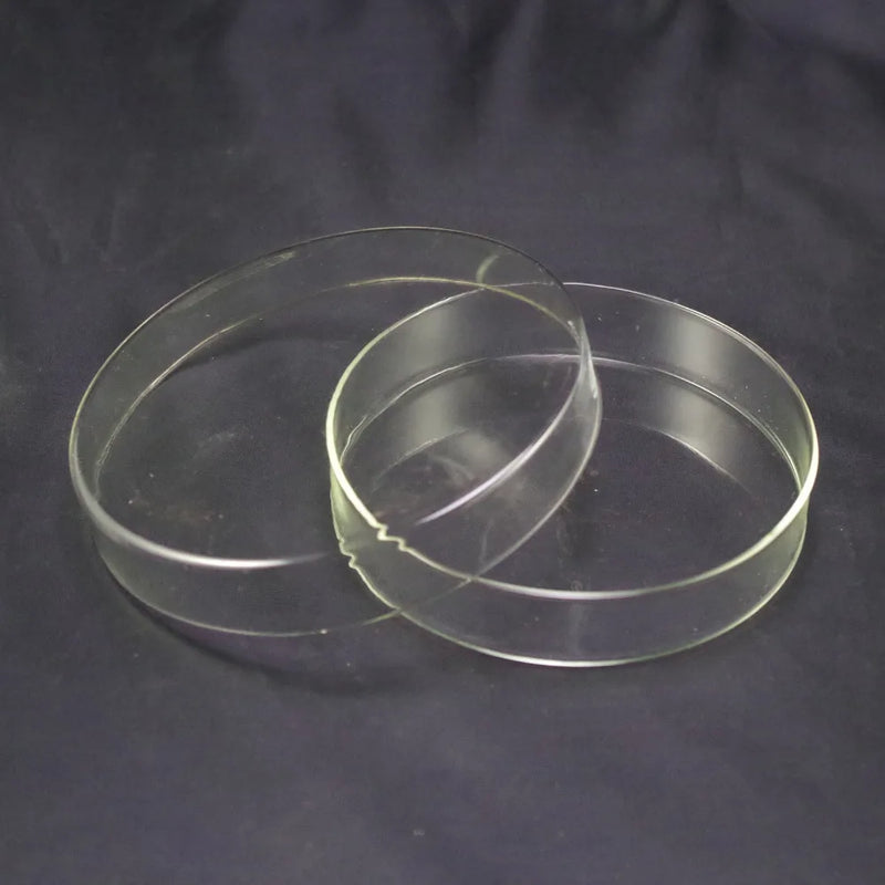 60mm Clear Borosilicate Glass Petri Dishes With lids Microorganisms Cell Clear Sterile Chemical Petri Dishes - KiwisLove