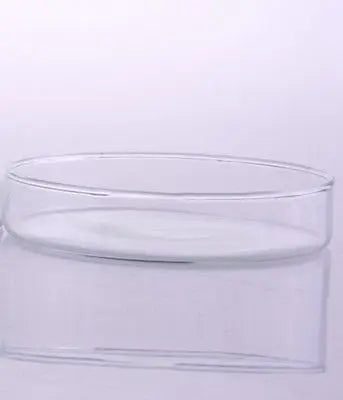75mm Borosilicate Glass Reusable Tissue Petri Culture Dish Plate with cover For Chemistry Laboratory - KiwisLove