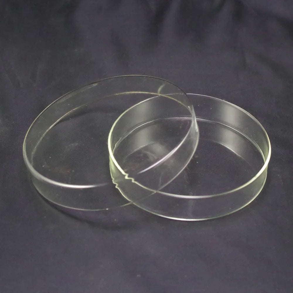 90mm Clear Borosilicate Glass Petri Dishes With Lids - KiwisLove