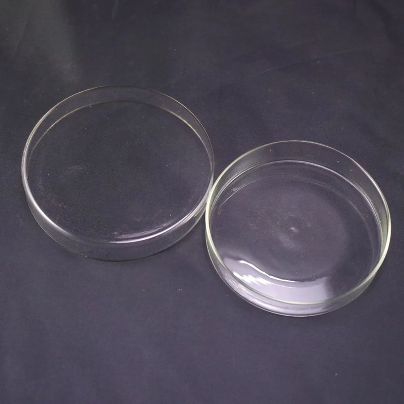 60mm Clear Borosilicate Glass Petri Dishes With lids Microorganisms Cell Clear Sterile Chemical Petri Dishes - KiwisLove