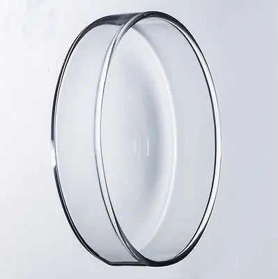 75mm Borosilicate glass Petri culture dish For Chemistry Laboratory Bacterial Yeast - KiwisLove