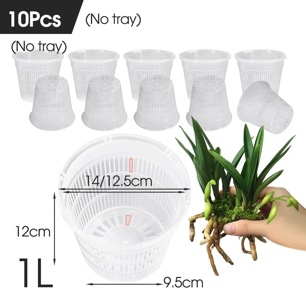 5/10PCS Clear Plastic Orchid Pots with Holes Breathable Slotted Planter for Home Decoration Garden Flower Basket Indoor Outdoor