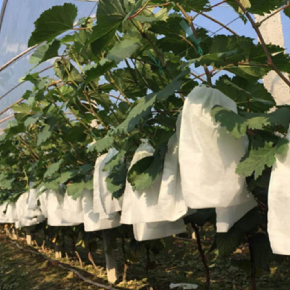 20/30pcs Garden Fruit Protection Bag Grapes Non Woven Pack For Protecting Plant Pocket Reusable Pest-proof And Bird Agricultural