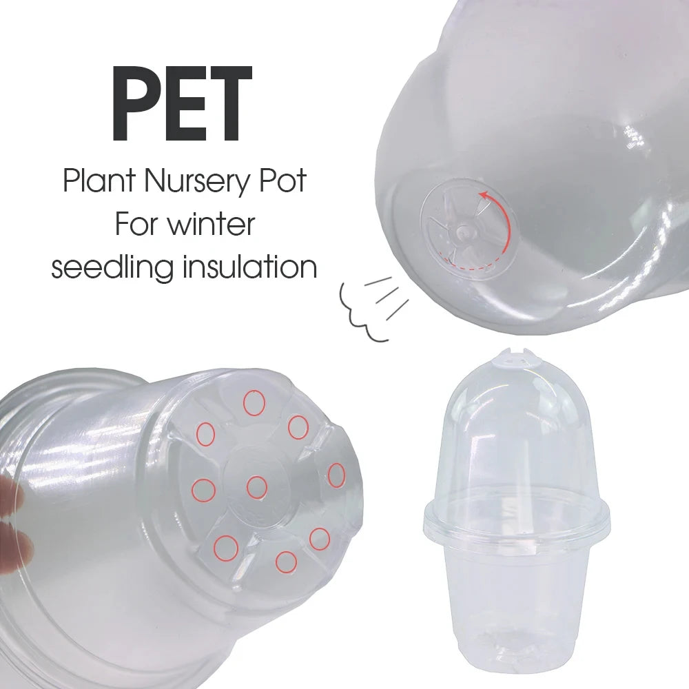A set of Visible Clear Plants Germination Cup Transparent Plastic Nursery Growing Box Indoor Garden Greenhouse Seed Starter Tray