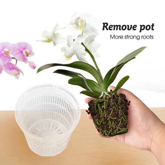 5/10PCS Clear Plastic Orchid Pots with Holes Breathable Slotted Planter for Home Decoration Garden Flower Basket Indoor Outdoor