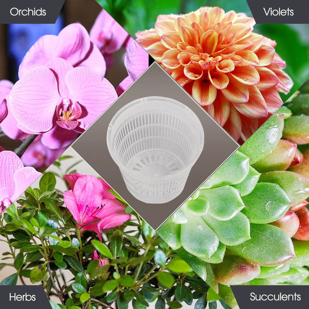 5/10PCS Clear Plastic Orchid Pots with Holes Breathable Slotted Planter for Home Decoration Garden Flower Basket Indoor Outdoor