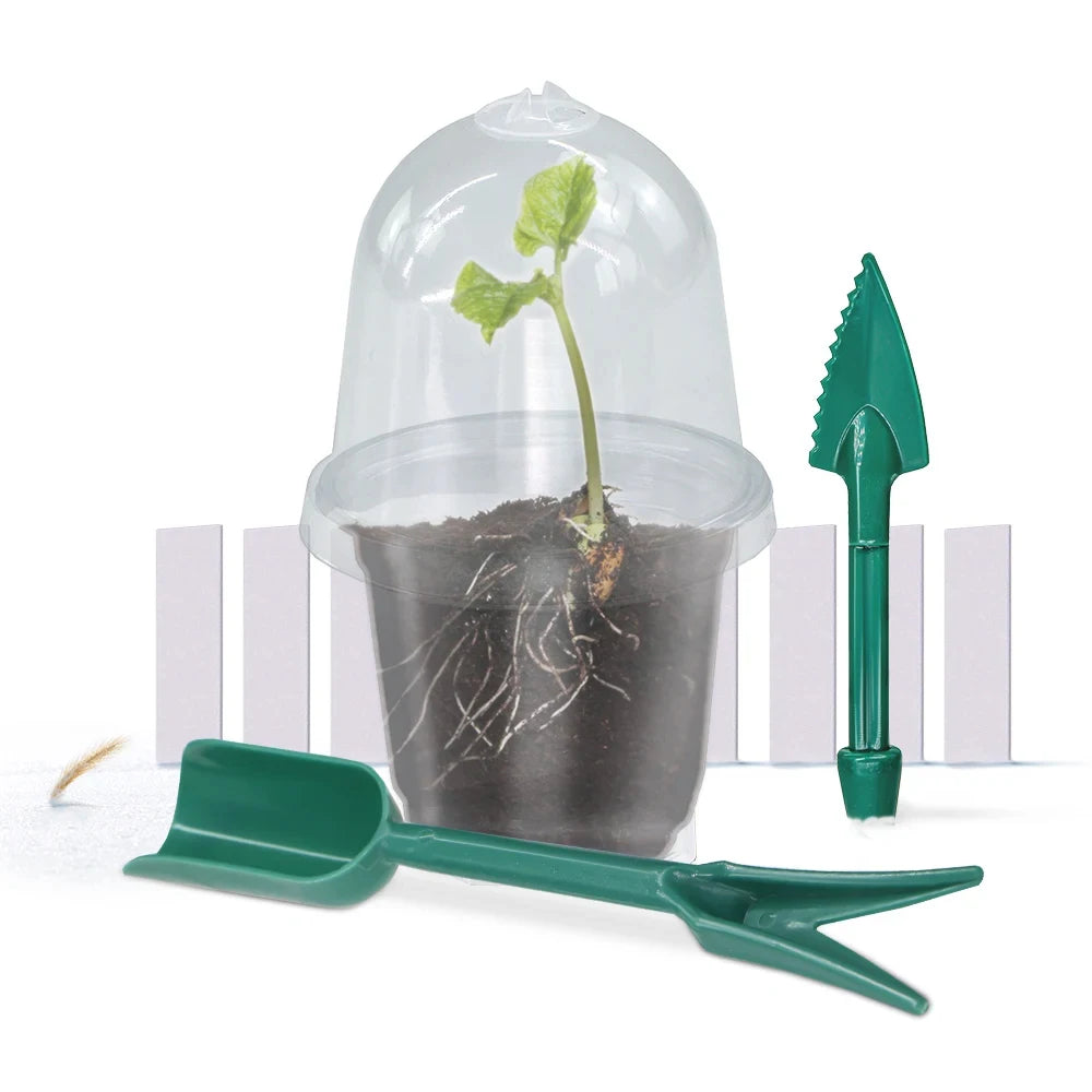 A set of Visible Clear Plants Germination Cup Transparent Plastic Nursery Growing Box Indoor Garden Greenhouse Seed Starter Tray