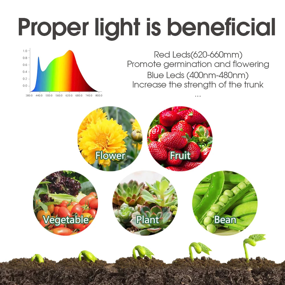 Red Blue White Greenhouse Germination Led Plant Lamps Beads Grow Lights Full Spectrum Purple Lighting for Seed Starter Tray Kit