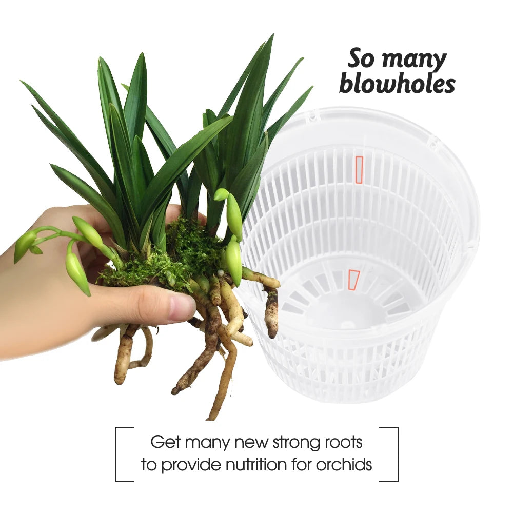 5/10PCS Clear Plastic Orchid Pots with Holes Breathable Slotted Planter for Home Decoration Garden Flower Basket Indoor Outdoor