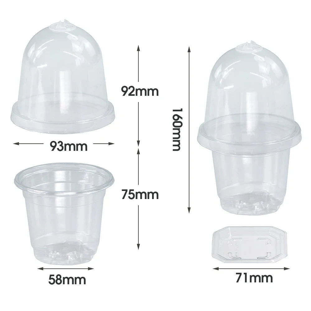 A set of Visible Clear Plants Germination Cup Transparent Plastic Nursery Growing Box Indoor Garden Greenhouse Seed Starter Tray