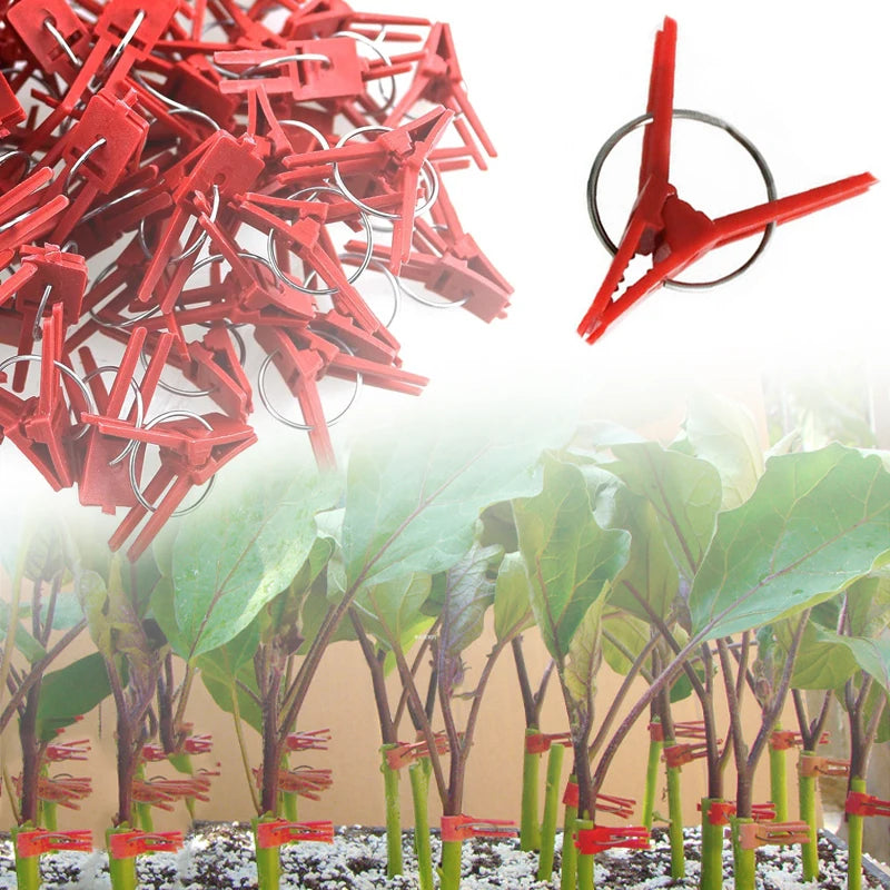 25-100PCS Plant Grafting Clip Plastic Gardening Tool For Cucumber Eggplant Watermelon, Round Mouth Flat Mouth Anti-fall Clamp