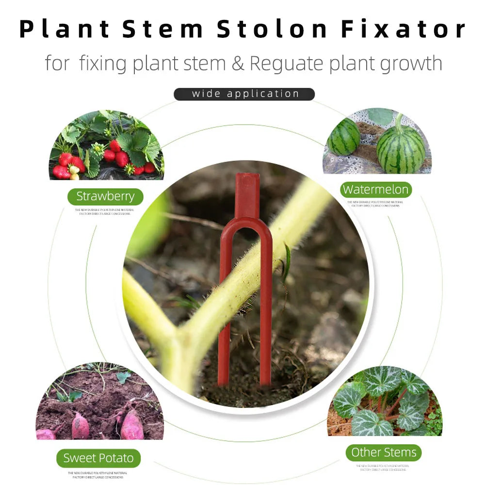 50PCS Greenhouses Strawberry Planting Fixing Clips Climbing Support Garden Stem Fork Watermelon Fastening Fixture Clamp Vine Hol